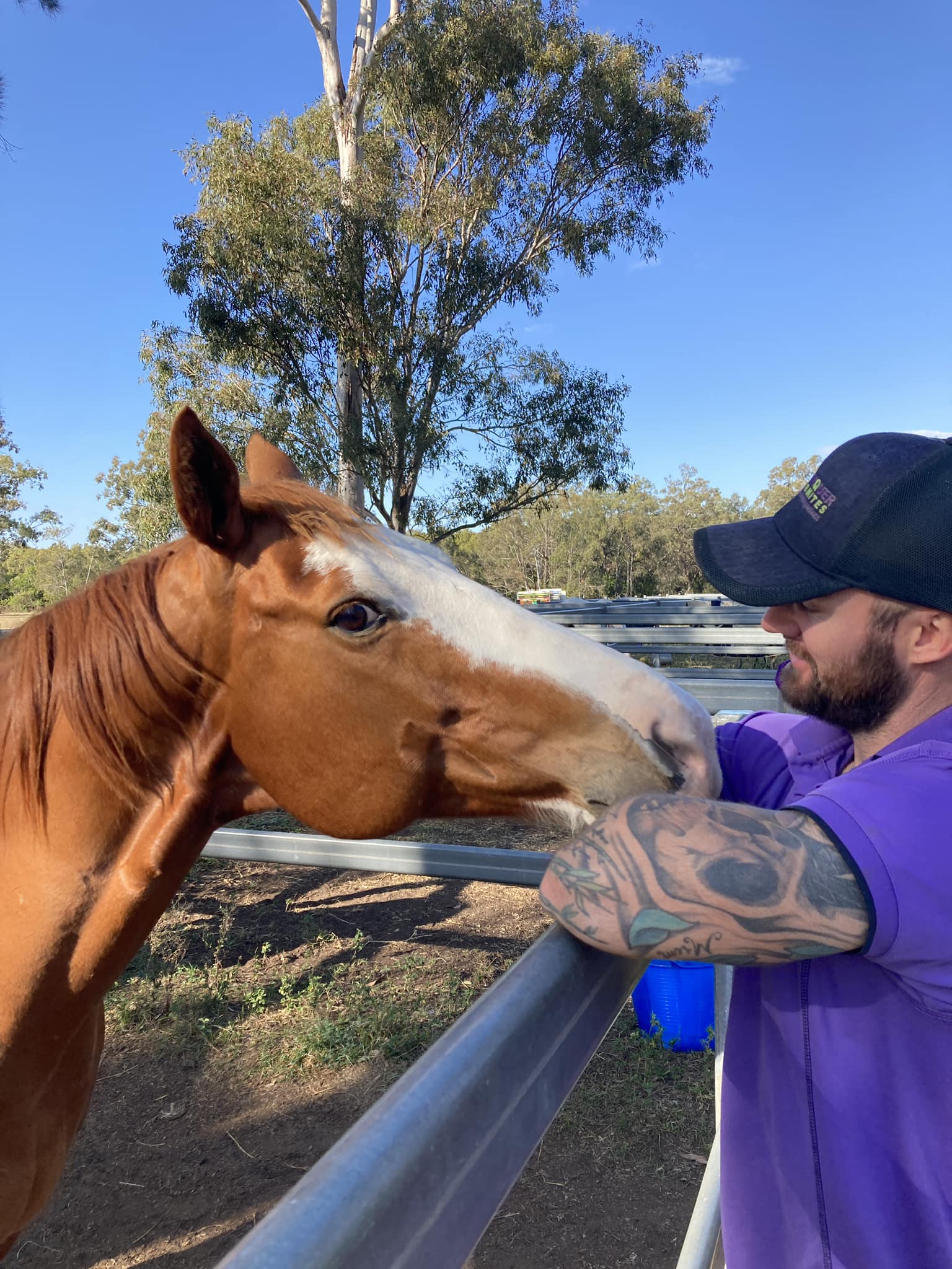 Conquer Termites Technician getting a smooch from a chestnut horse at Redcliffe Pony Club, located in Rothwell. 