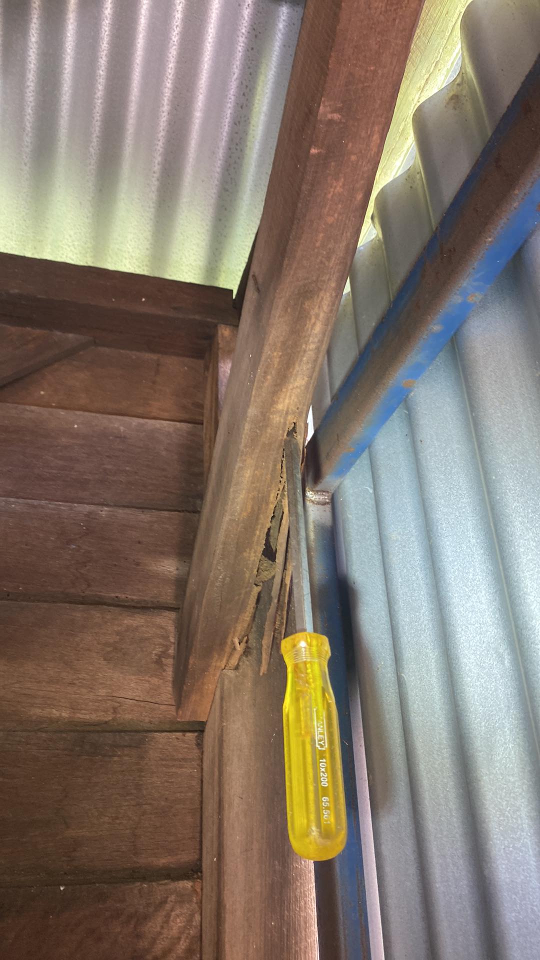 A yellow screw driver can be seen opening up termite damage in a wooden beam. 