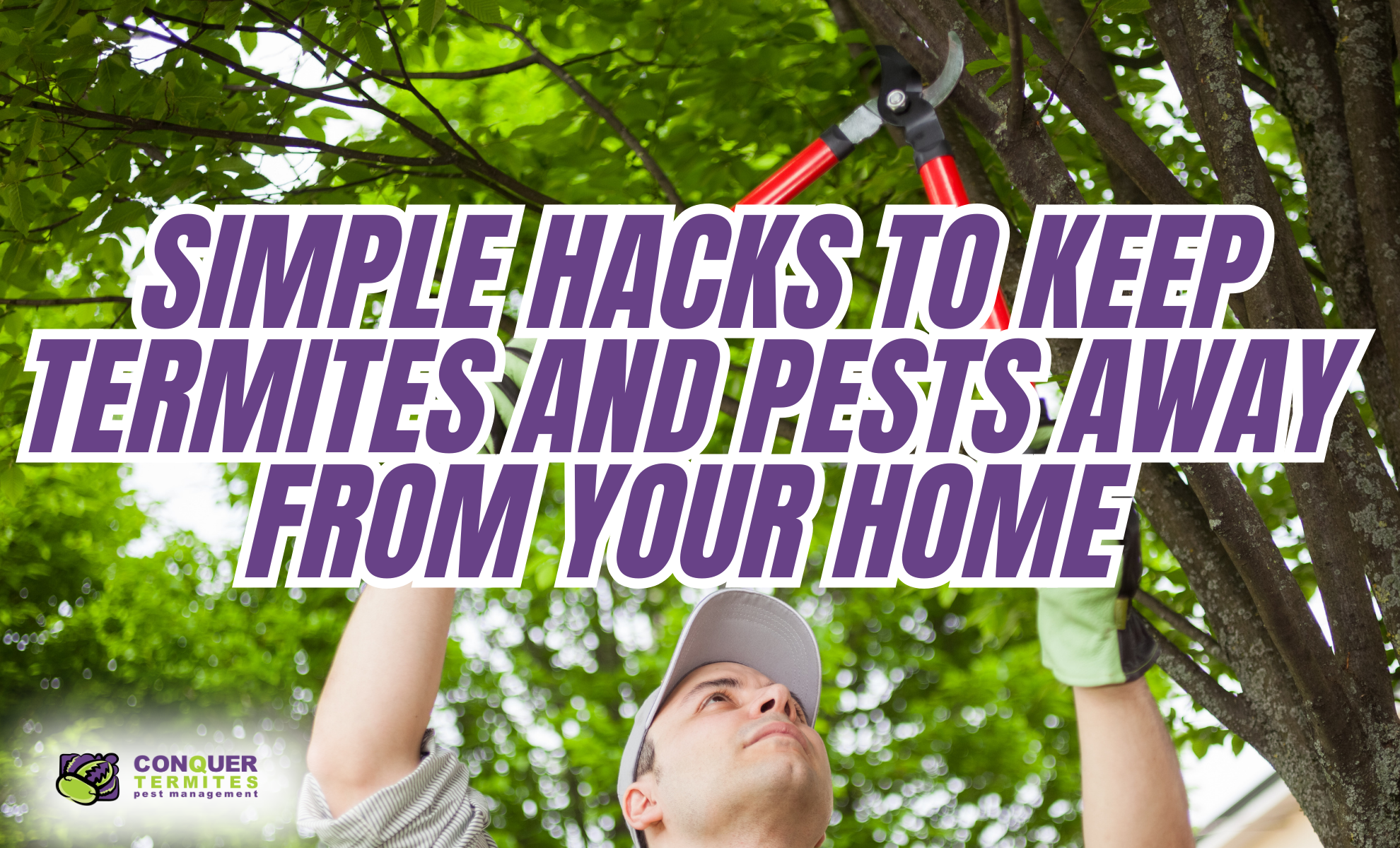 Simple Yard Hacks For A Pest Free Home