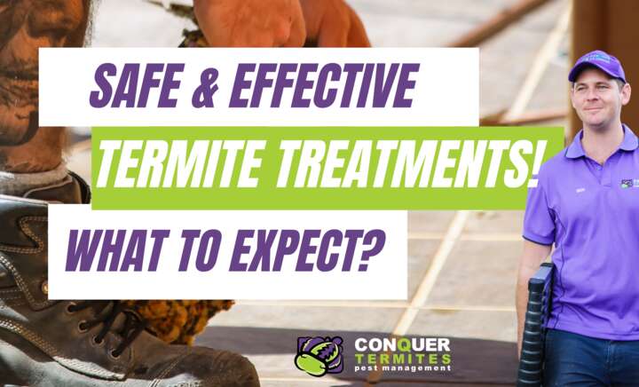 🐜 Safe and Effective Termite Treatments: What to Expect 🛡️