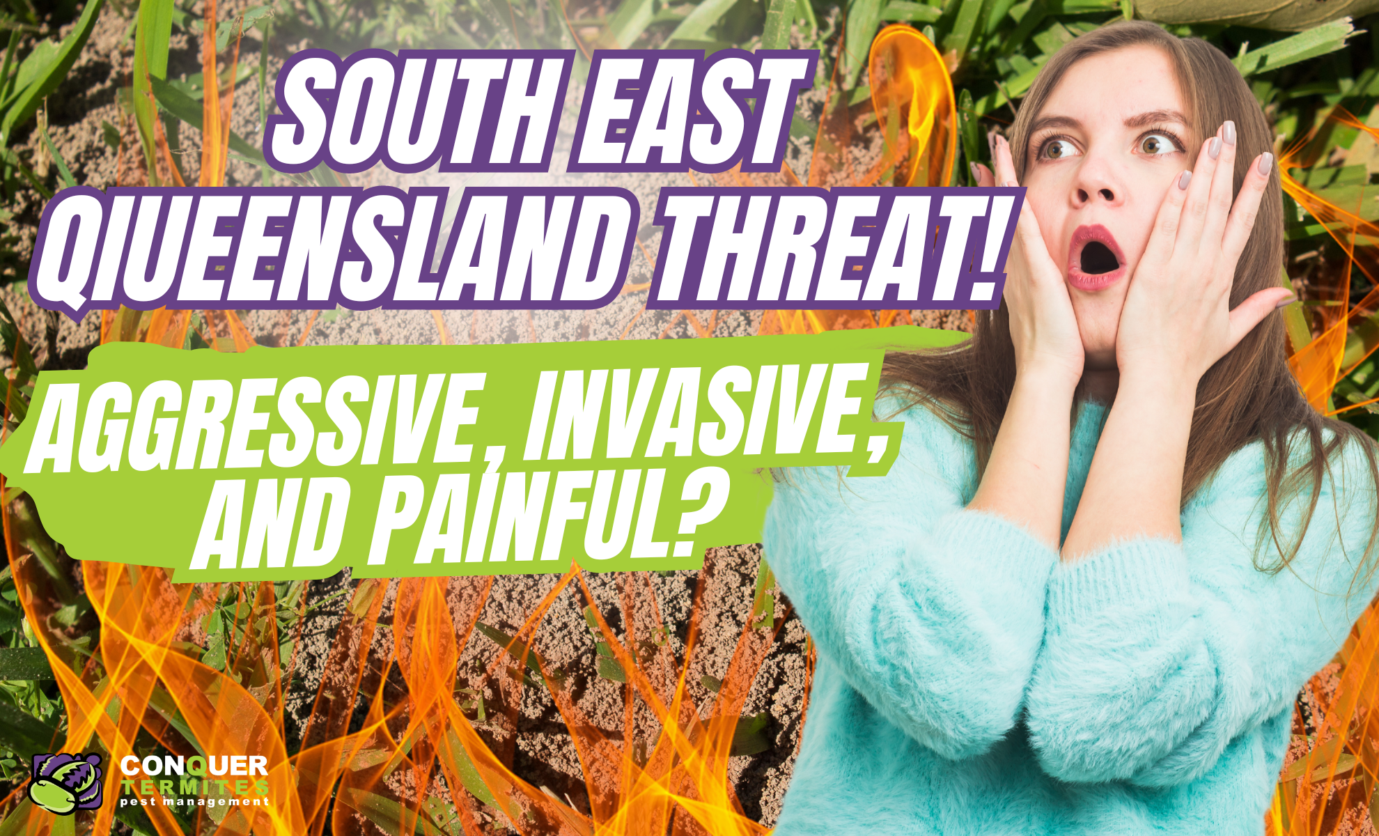 Aggressive, Invasive & Painful Threat to South East QLD!