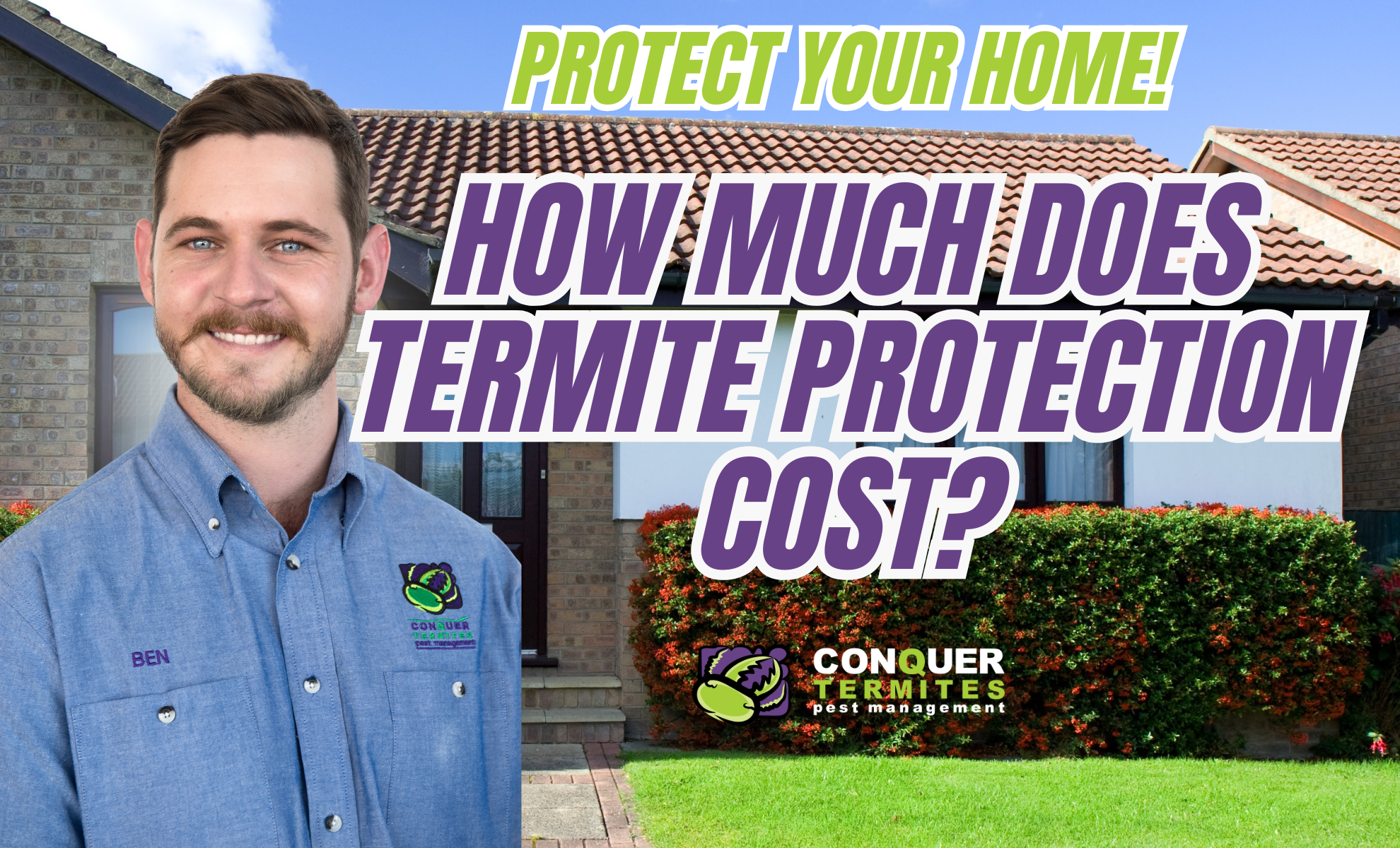 How Much Does Termite Protection Cost?