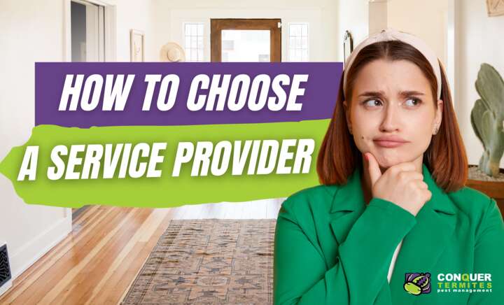 How To Choose A Pest Provider! 🕷️🏠