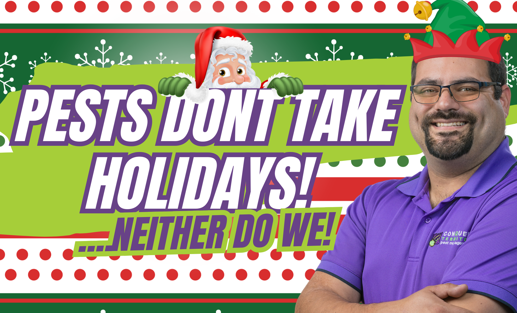 Pests Don’t Take Holidays – And Neither Do We! 🎄