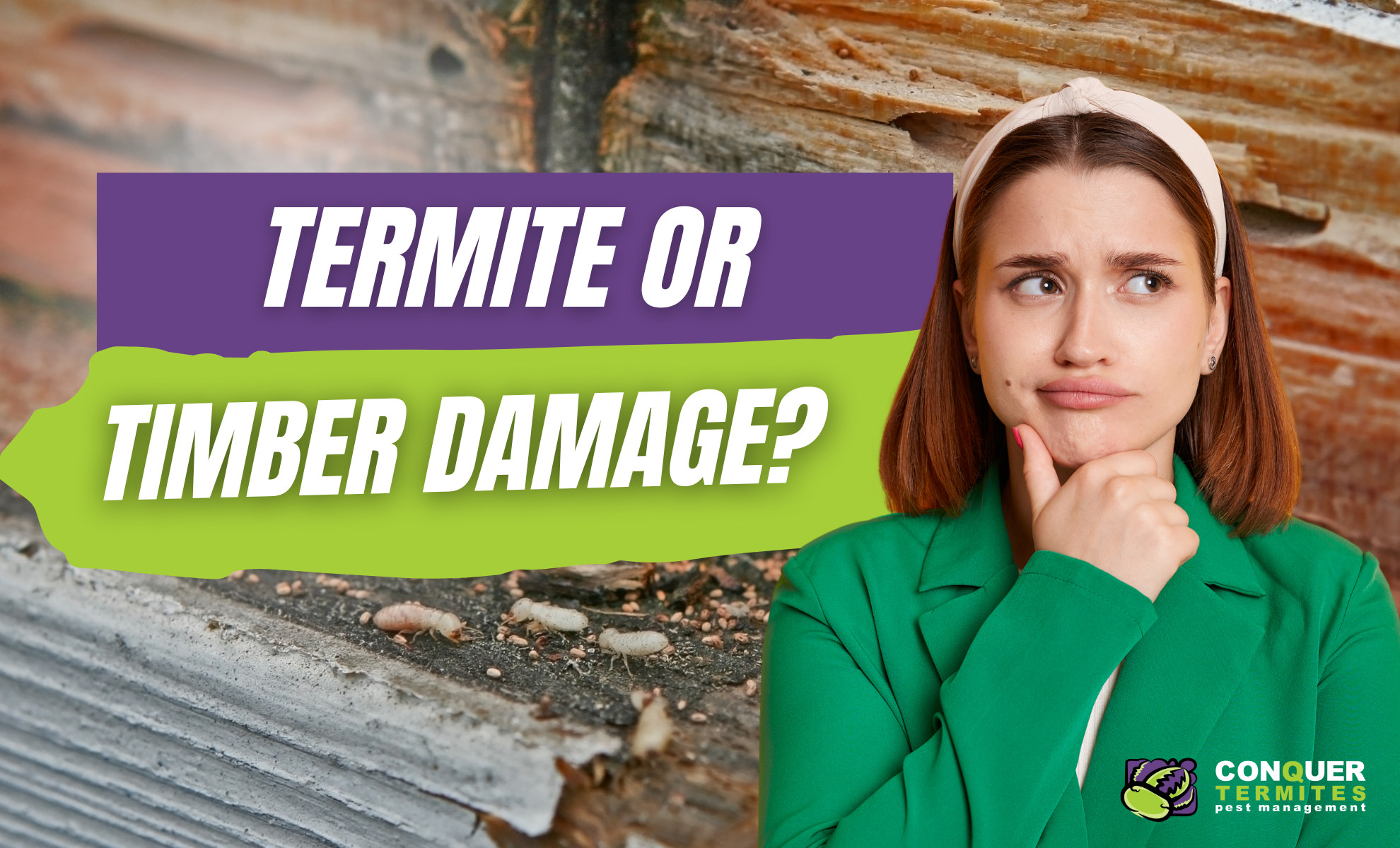 Termites or Timber Damage?