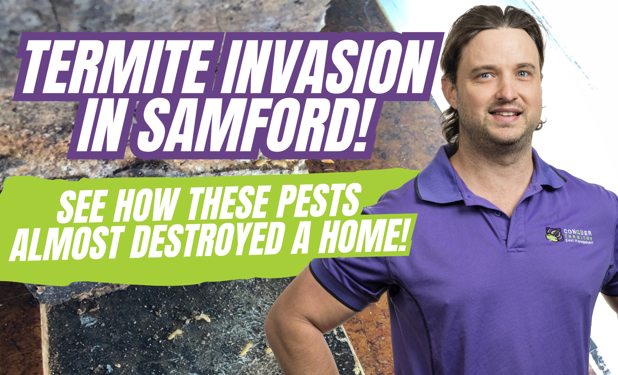 Why Termite Inspections are Crucial: A Real-Life Case in Samford