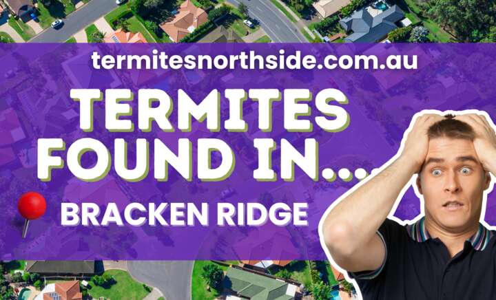 Termites Brisbane - Bracken Ridge