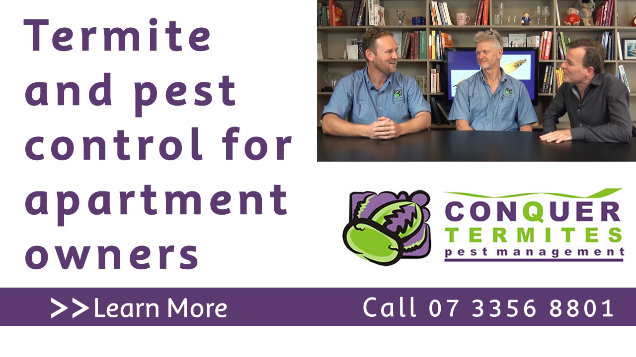 Termite and pest control for apartment owners. Conquer Termites North Side