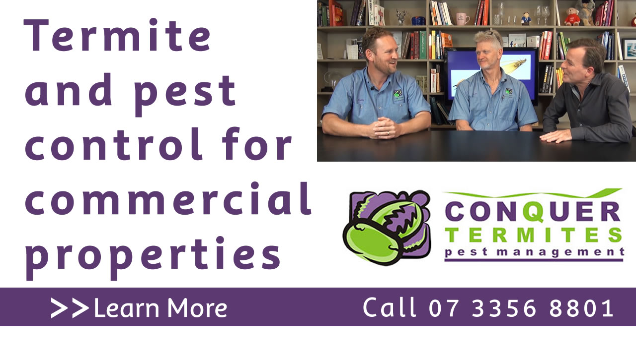 Termites and pest control for commercial properties. Conquer Termites Northside