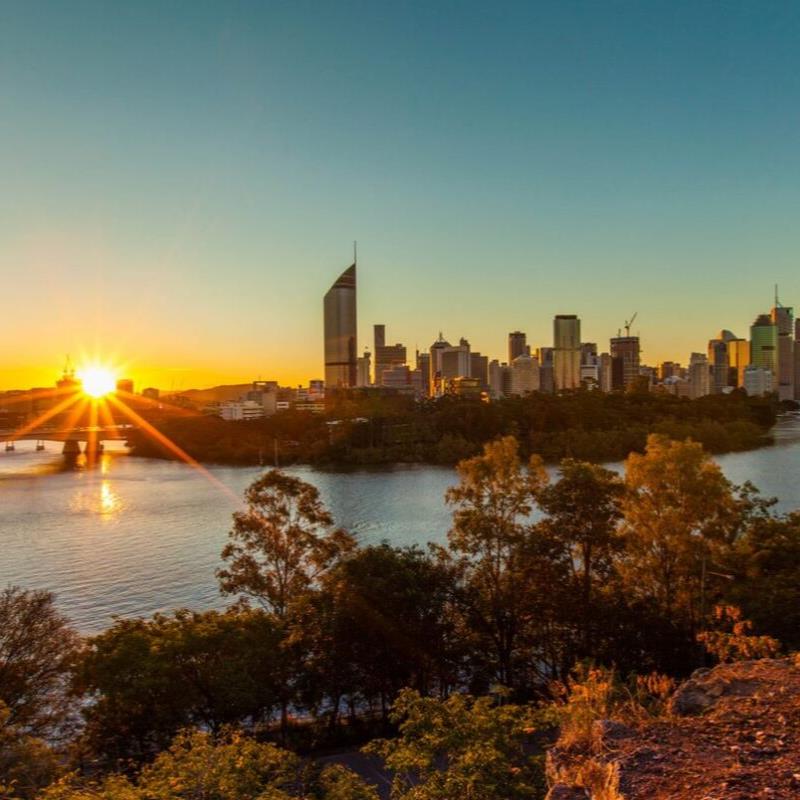 Termites in Brisbane and the Dry Weather