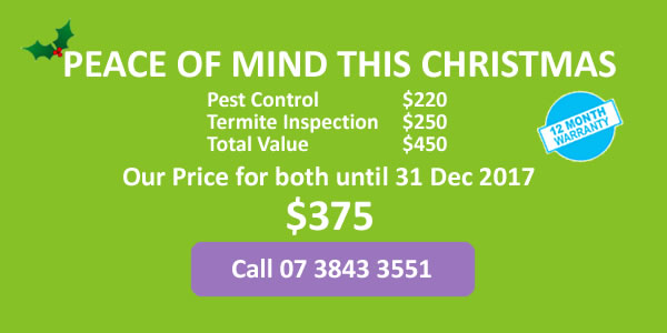 Pest Control AND Termite Inspection $375 until 31 December
